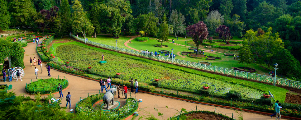 DAY 03: OOTY - LOCAL SIGHTSEEING